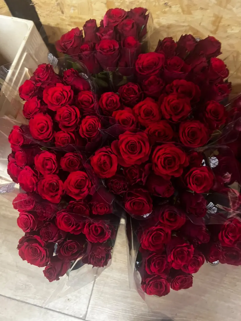Rote Rosen – großer Bund